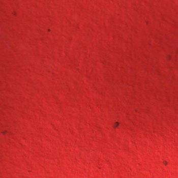 Red Handmade Seed Paper | Eco-Friendly Paper