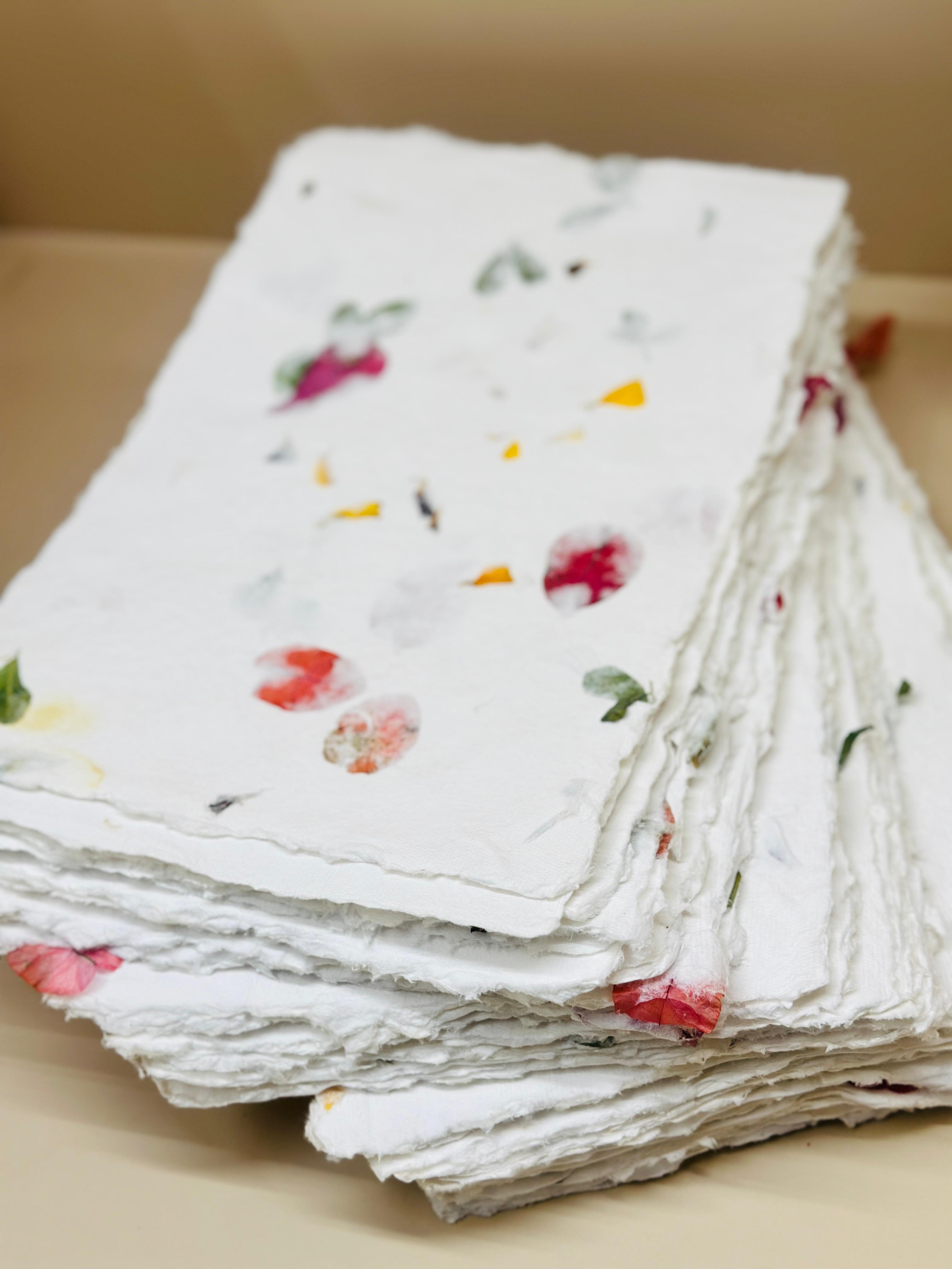 Aster Leaf deckle paper